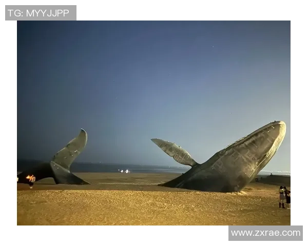 一鲸落万物生，缺谁谁为难！没有特雷·扬的老鹰更强