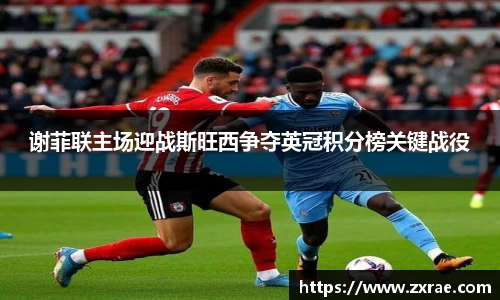 DG视讯