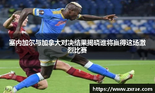 DG视讯平台
